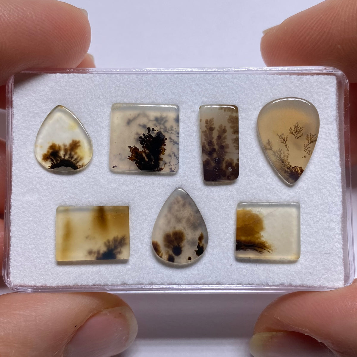 Dendritic Agate