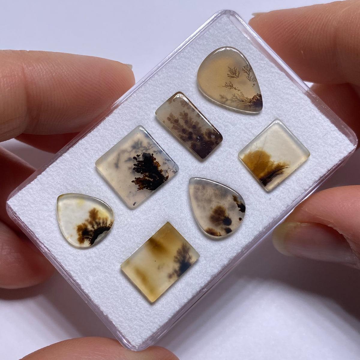 Dendritic Agate