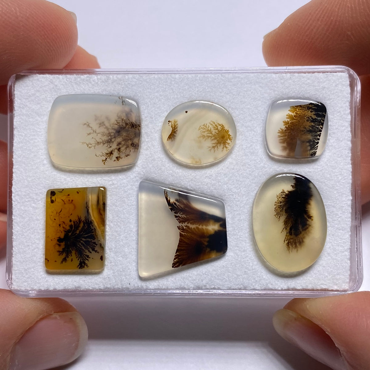 Dendritic Agates - Brazil