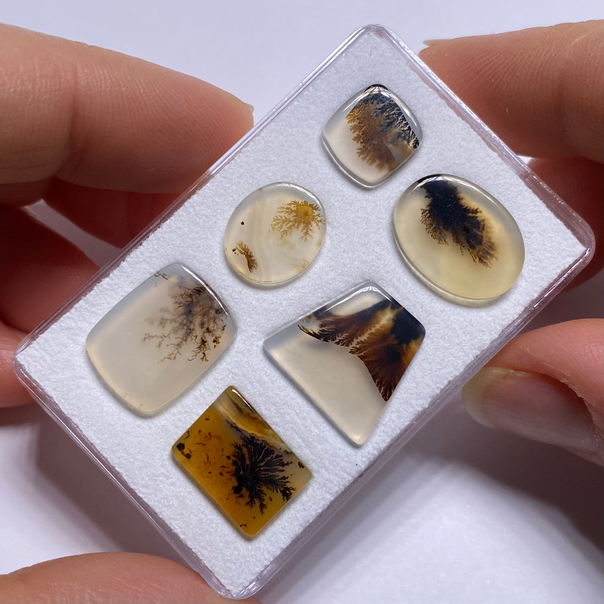 Dendritic Agates - Brazil