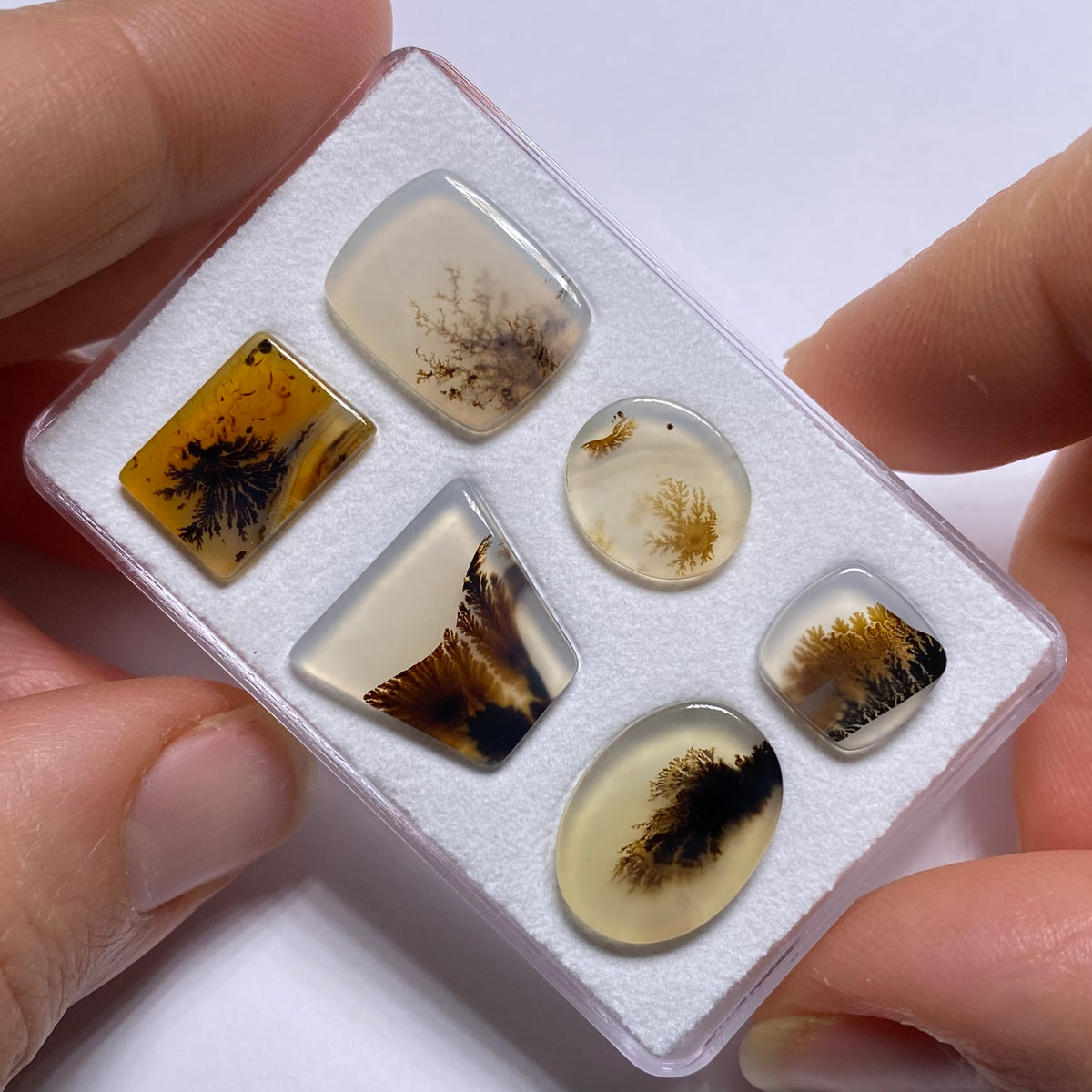 Dendritic Agates - Brazil