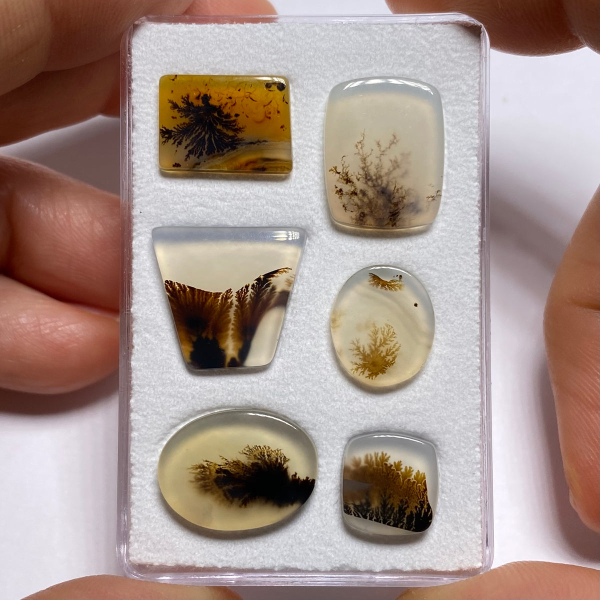 Dendritic Agates - Brazil