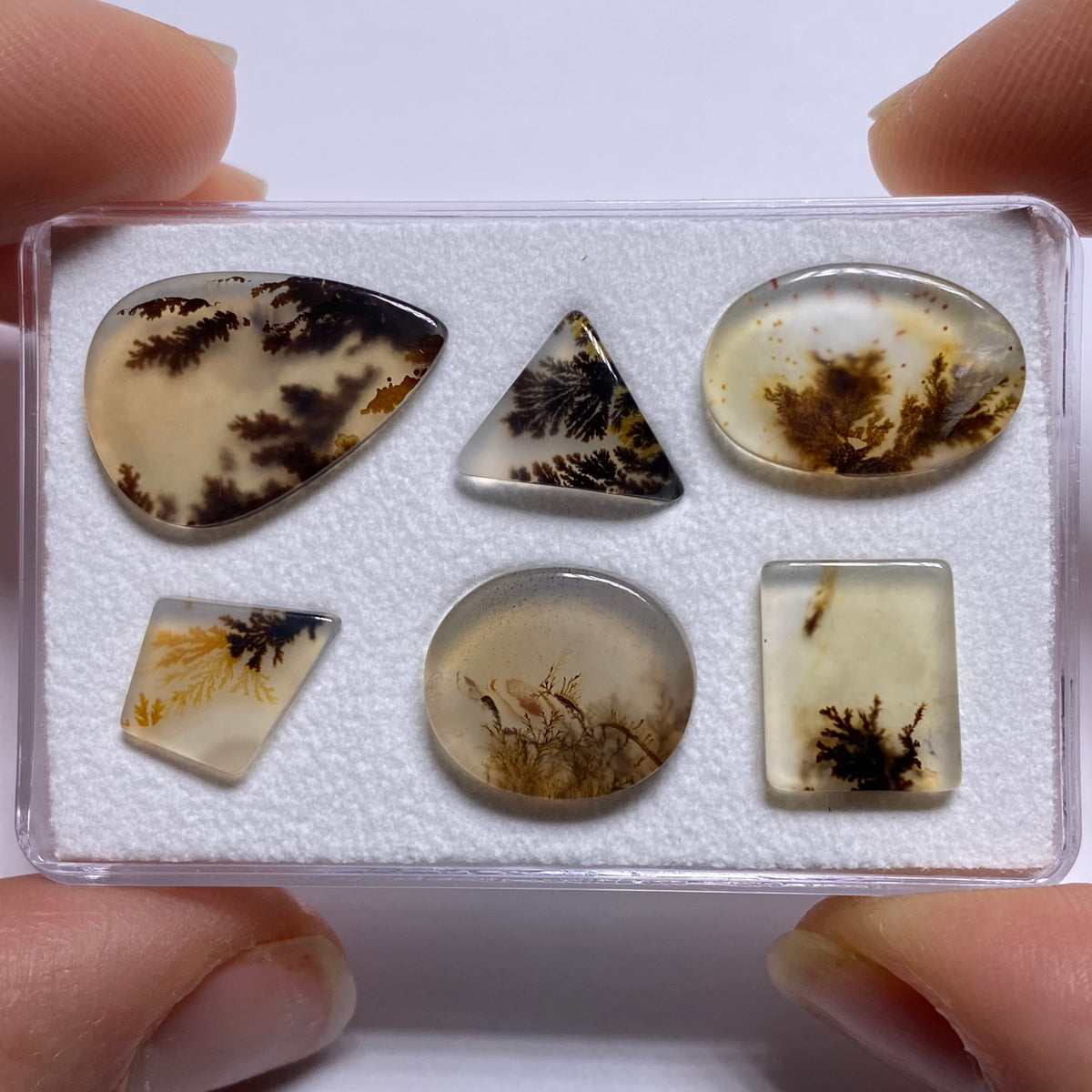Dendritic Agate - Brazil