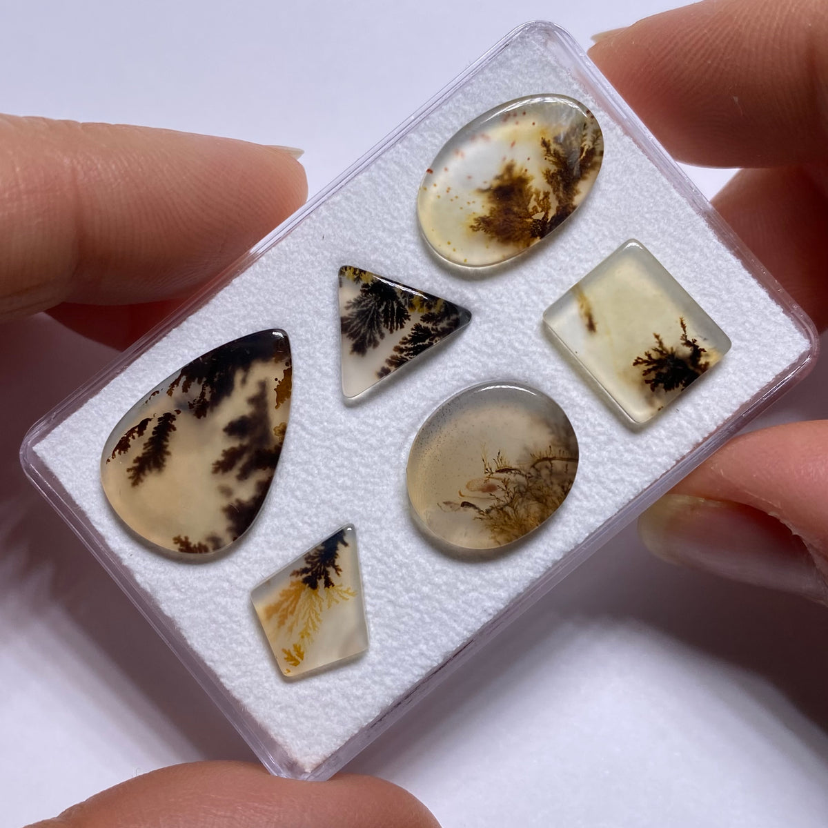 Dendritic Agate - Brazil