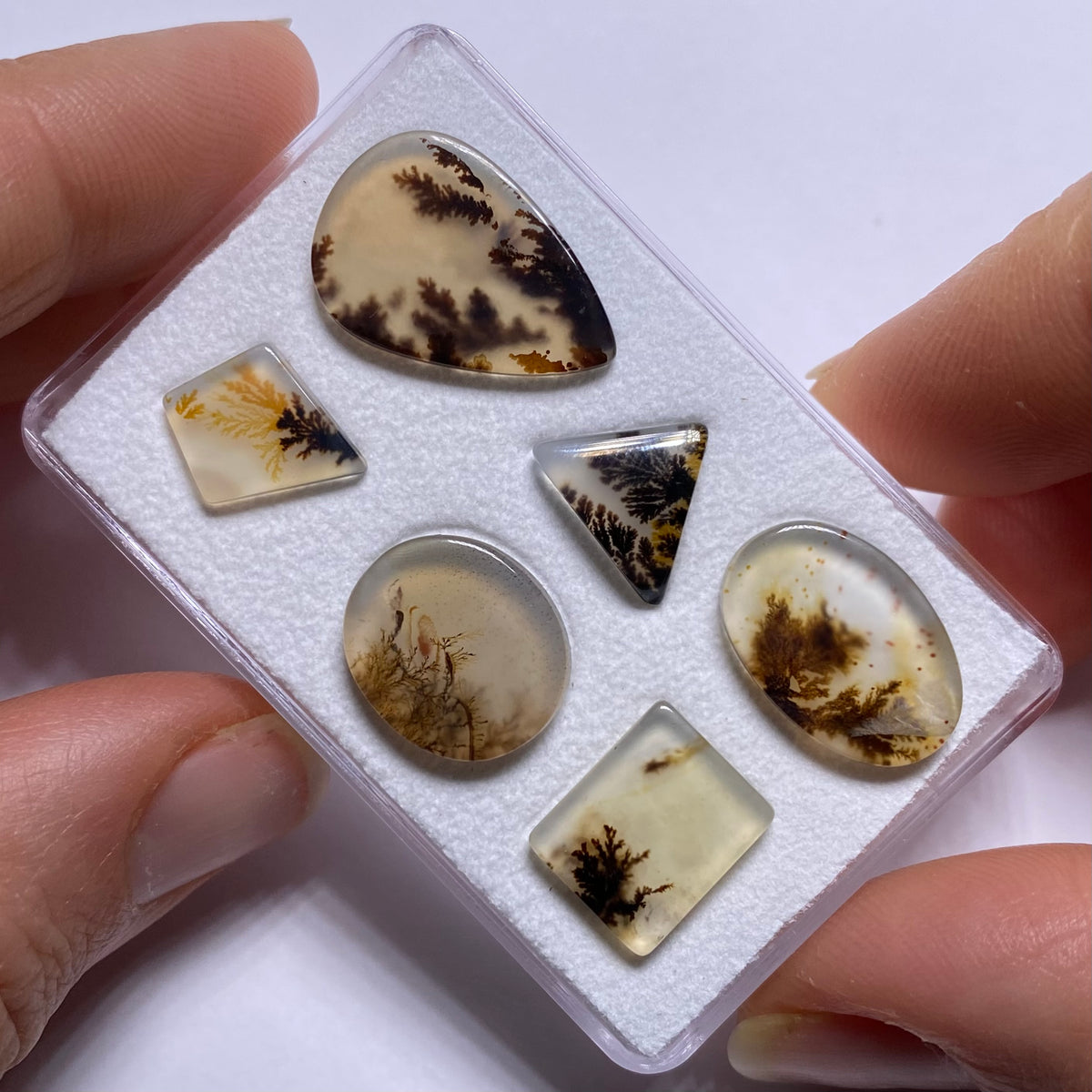 Dendritic Agate - Brazil