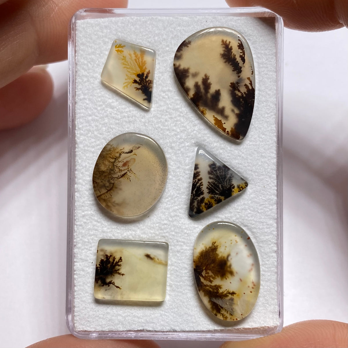 Dendritic Agate - Brazil
