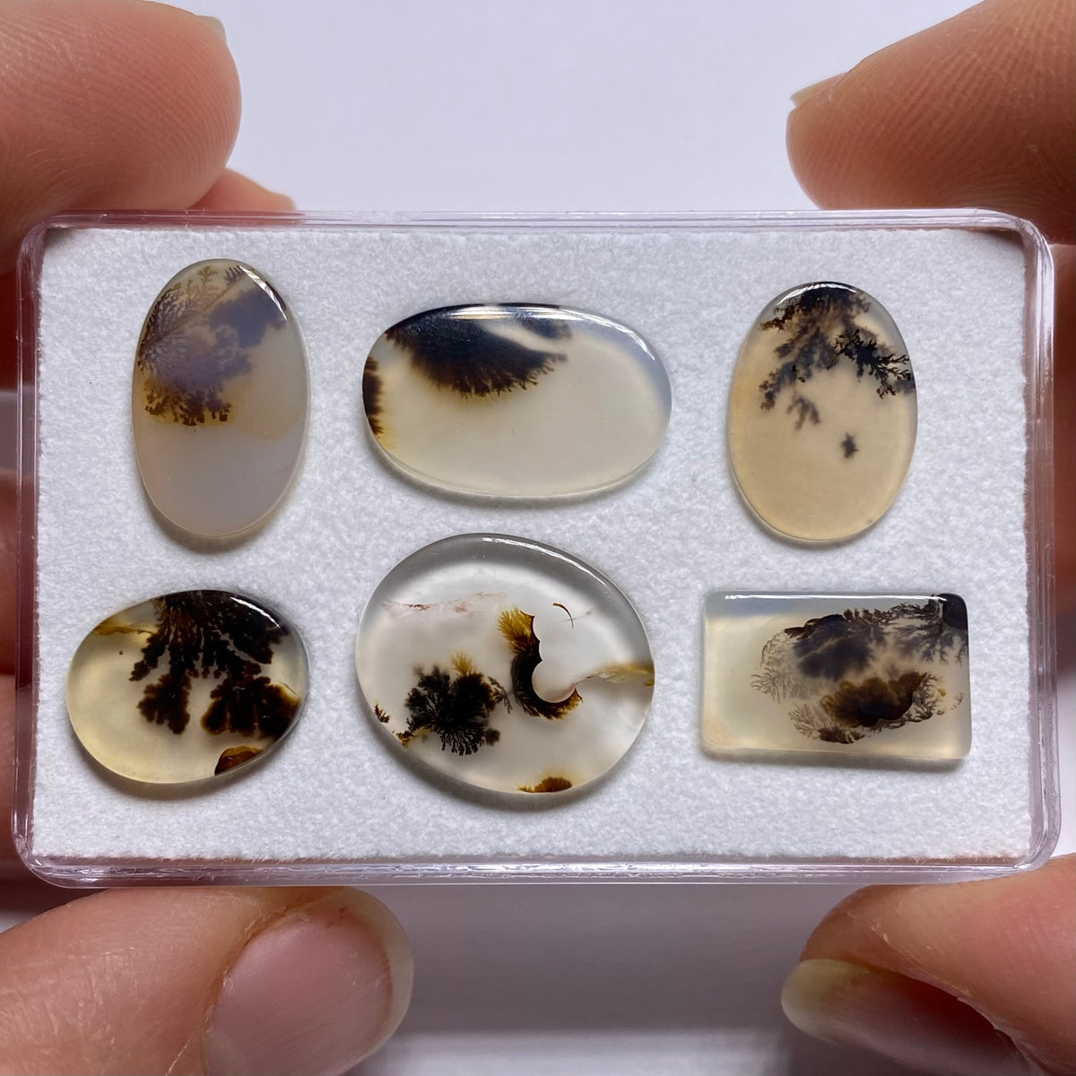 Dendritic Agate - Brazil