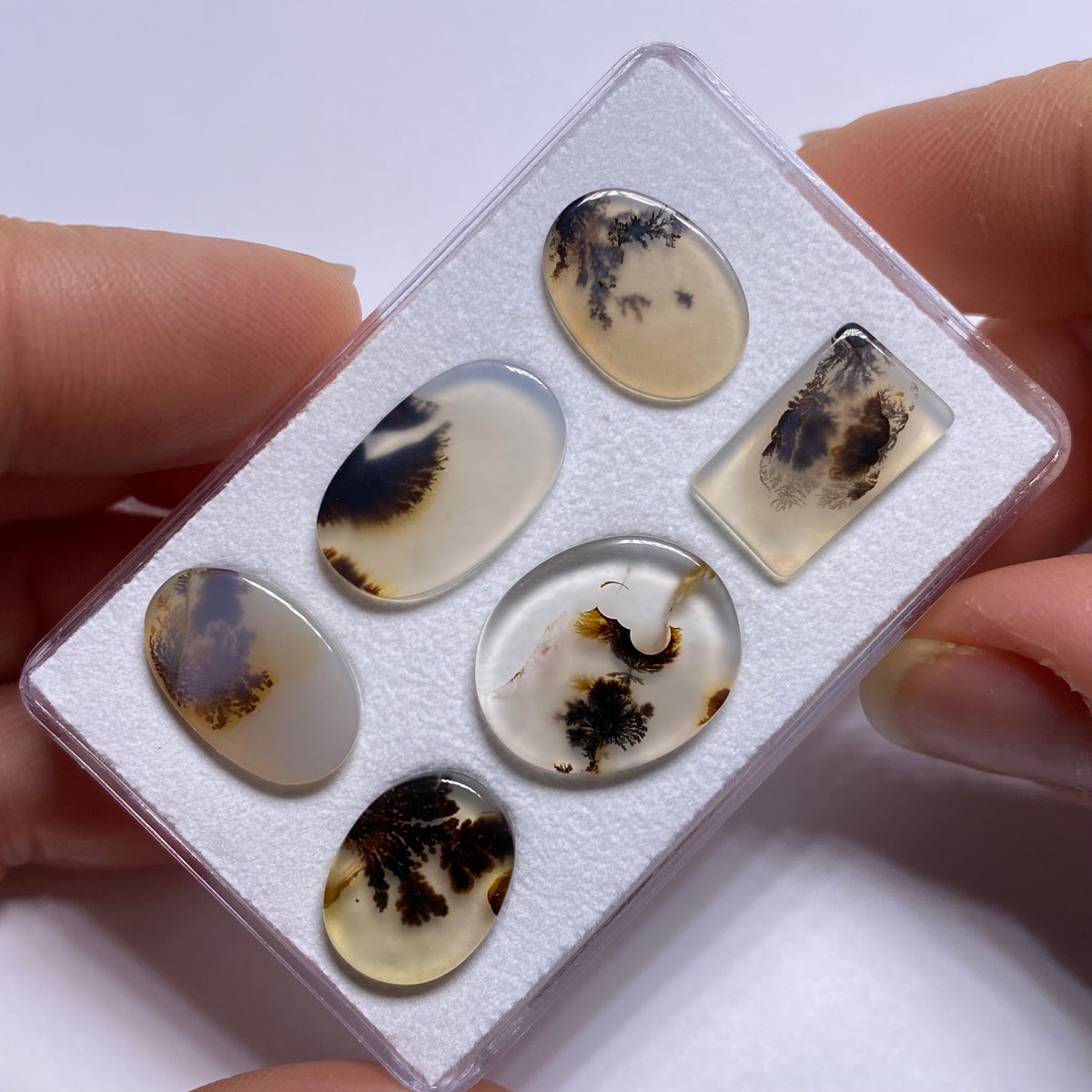 Dendritic Agate - Brazil