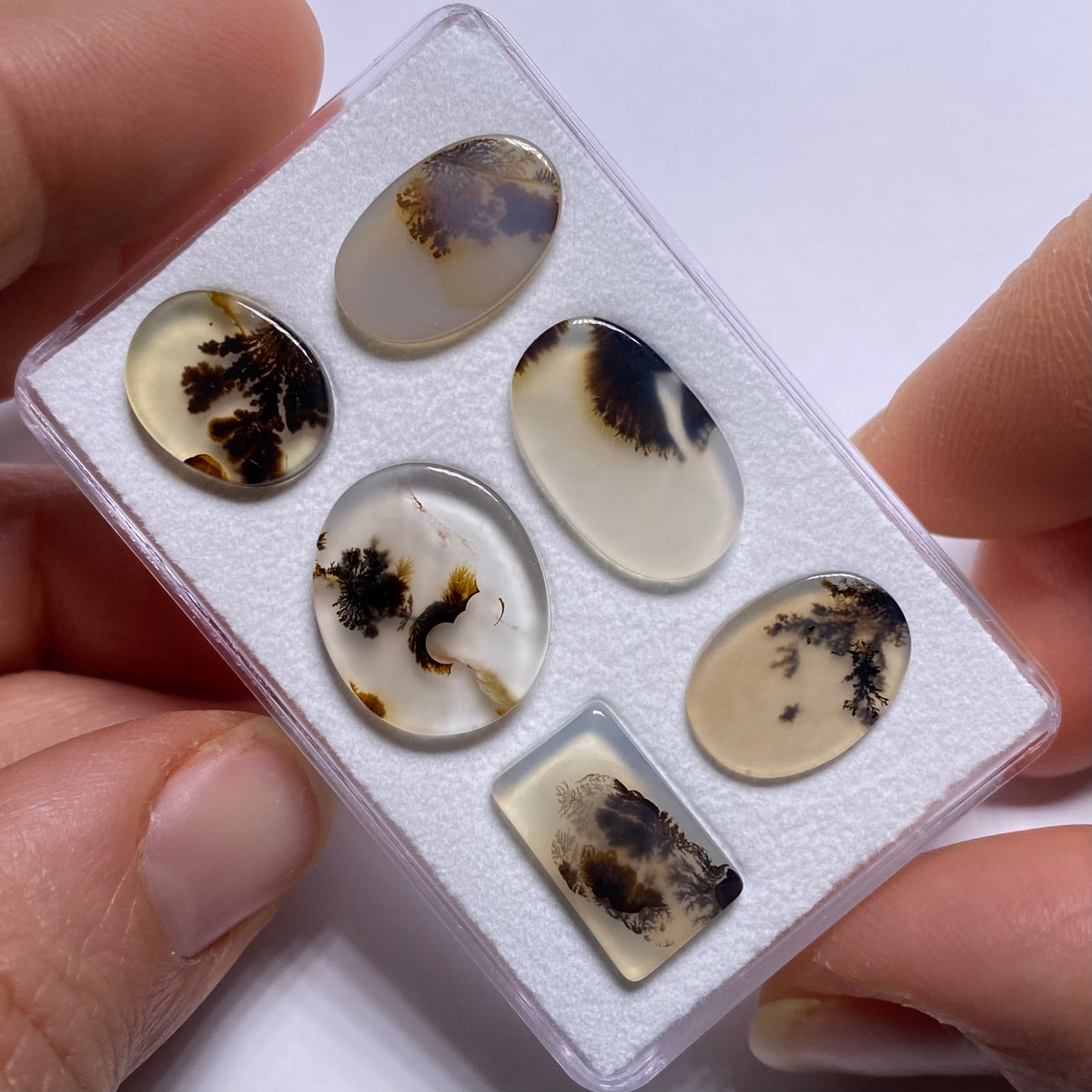 Dendritic Agate - Brazil
