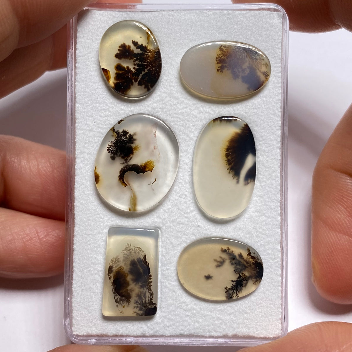Dendritic Agate - Brazil