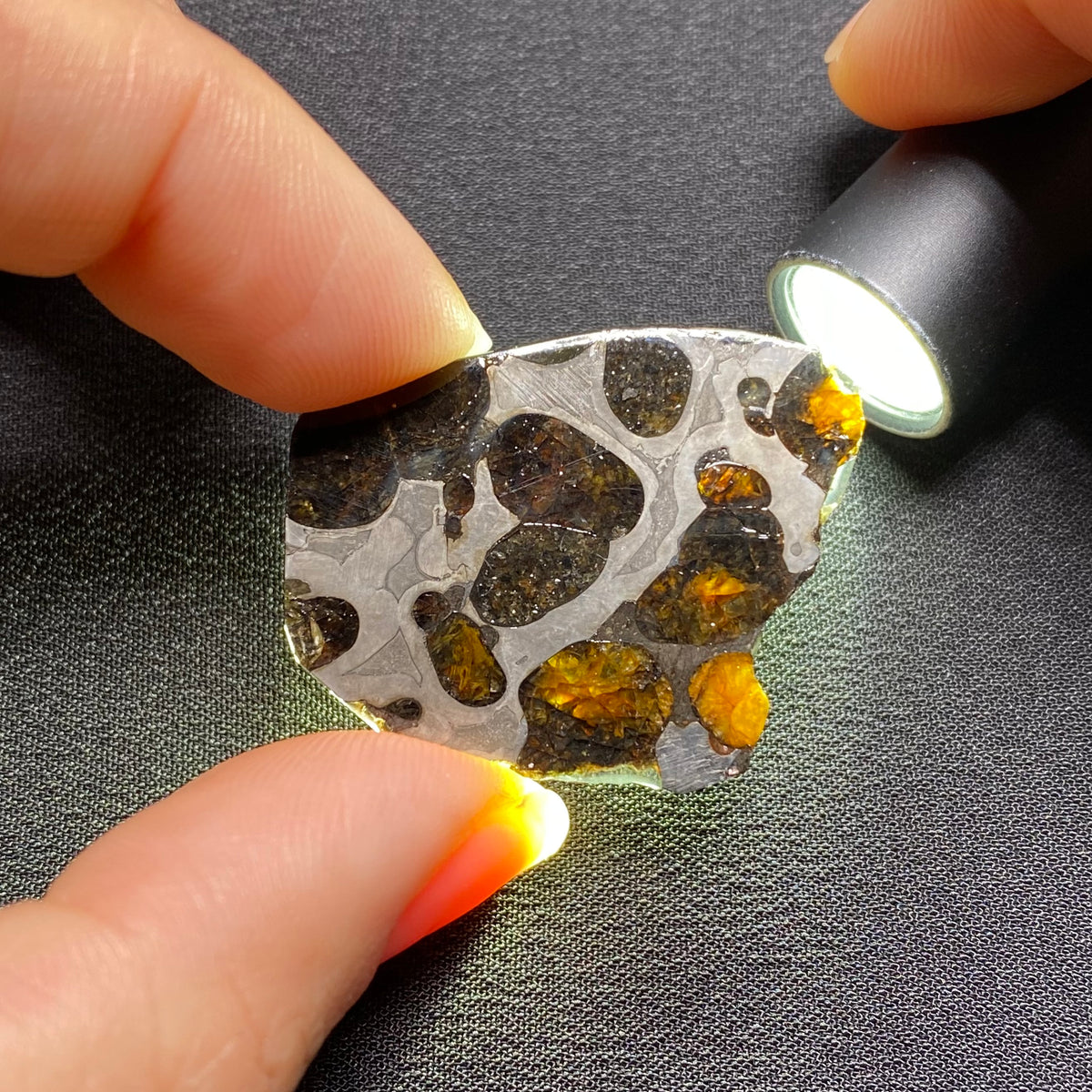 Brenham Pallasite - Kansas , USA