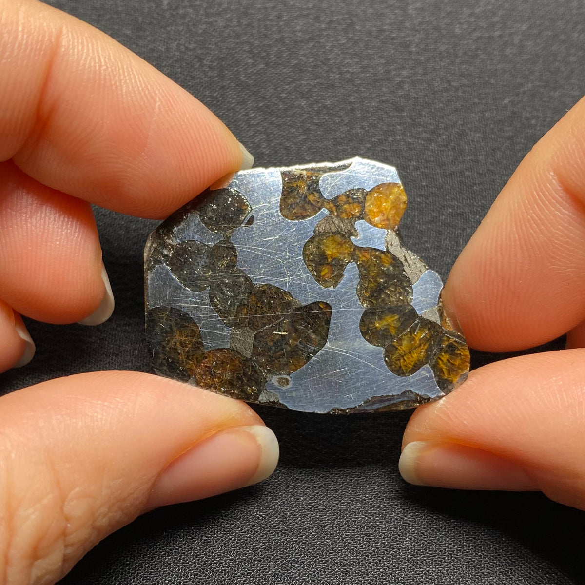 Brenham Pallasite - Kansas , USA