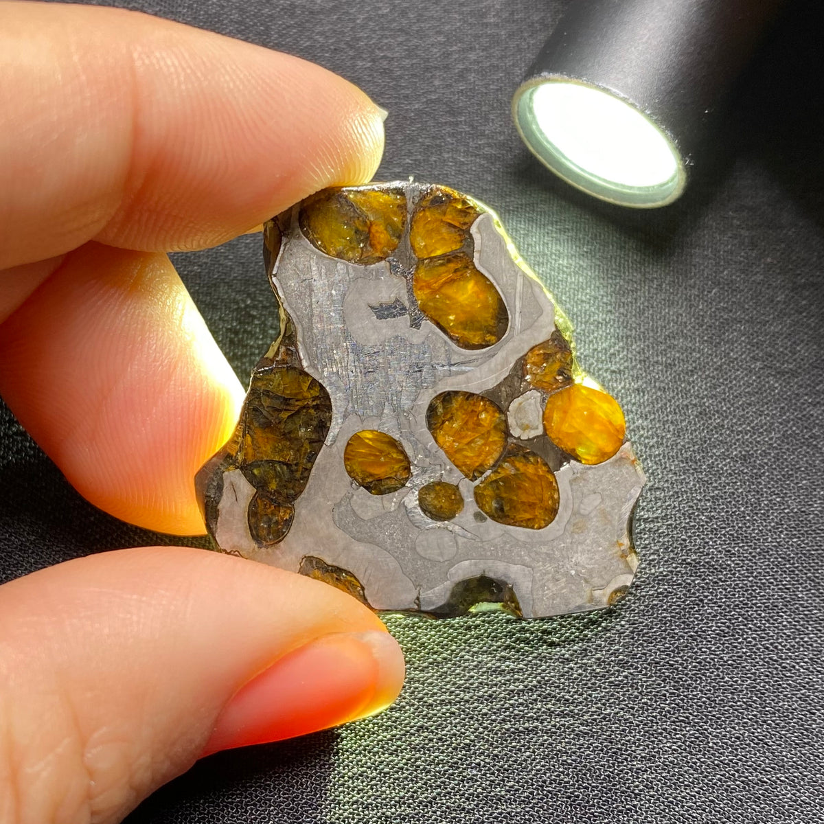 Brenham Pallasite - Kansas , USA