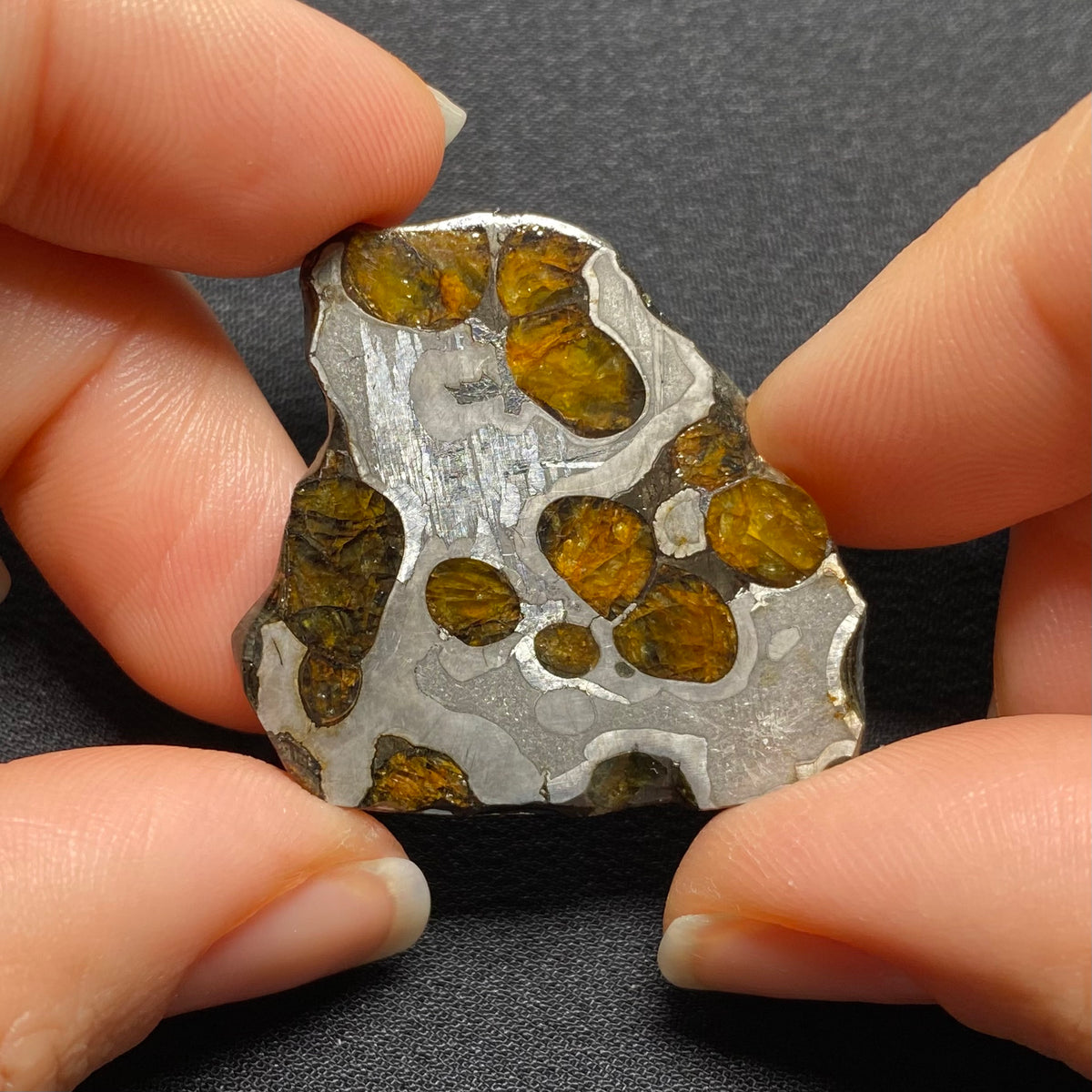 Brenham Pallasite - Kansas , USA