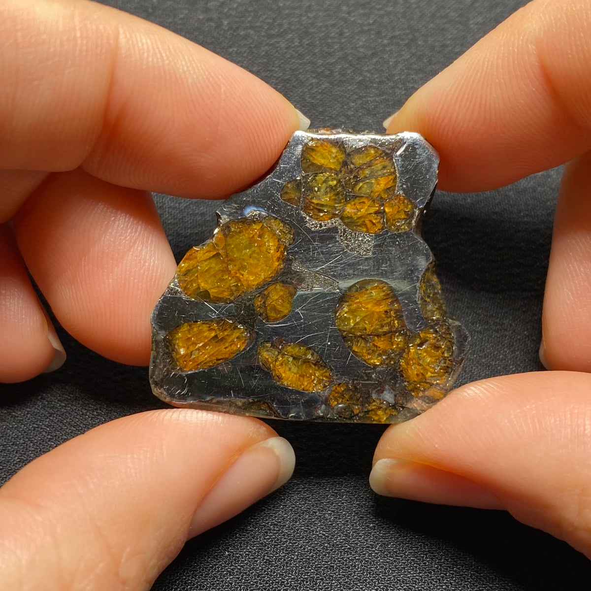 Brenham Pallasite - Kansas , USA