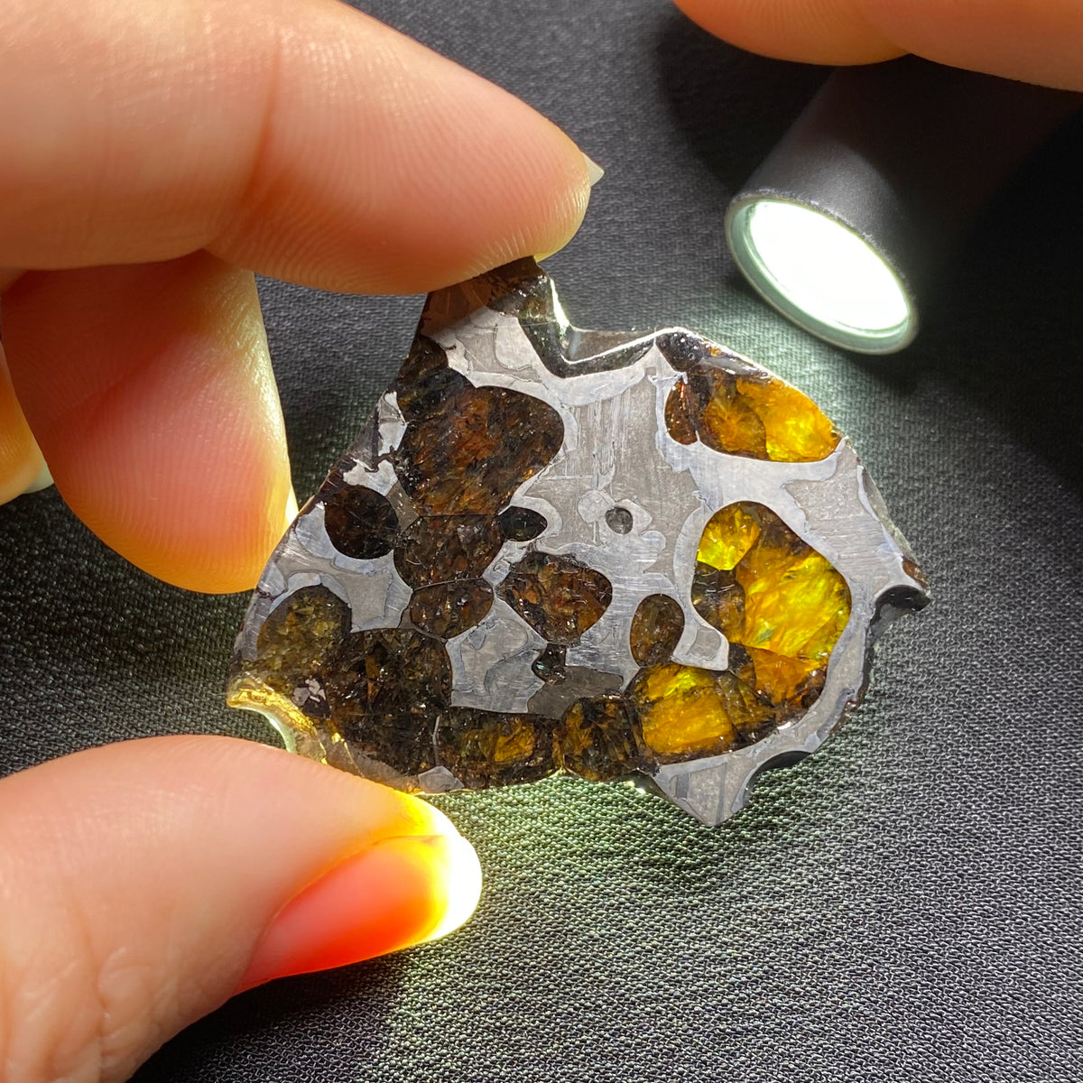 Brenham Pallasite - Kansas , USA