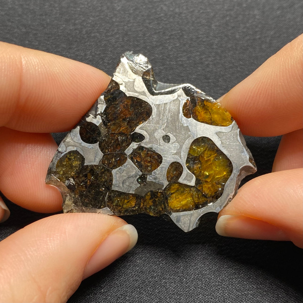 Brenham Pallasite - Kansas , USA