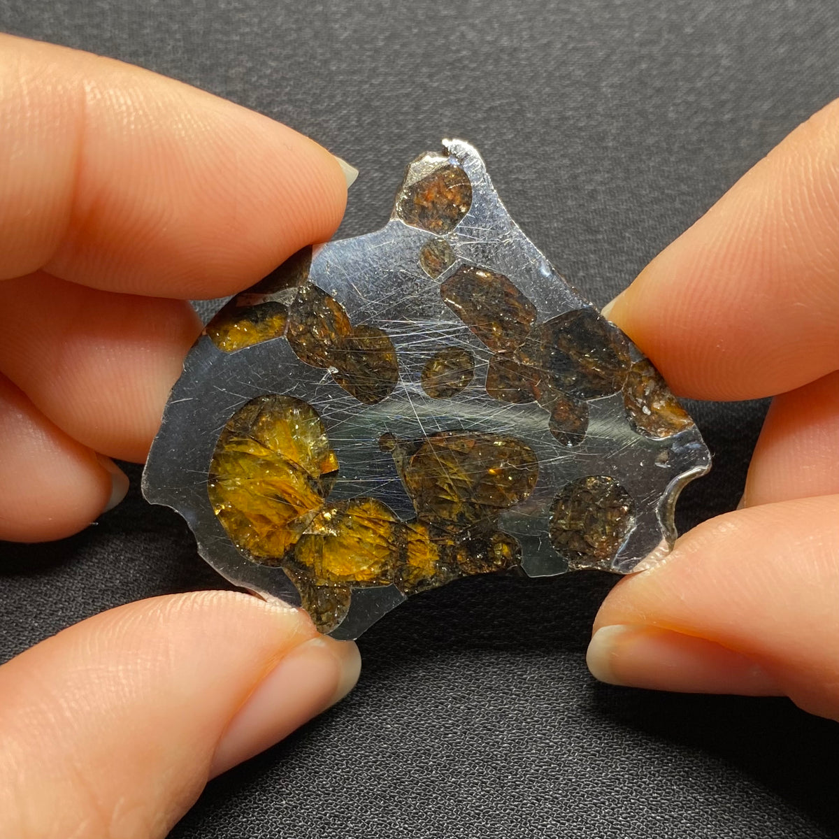 Brenham Pallasite - Kansas , USA