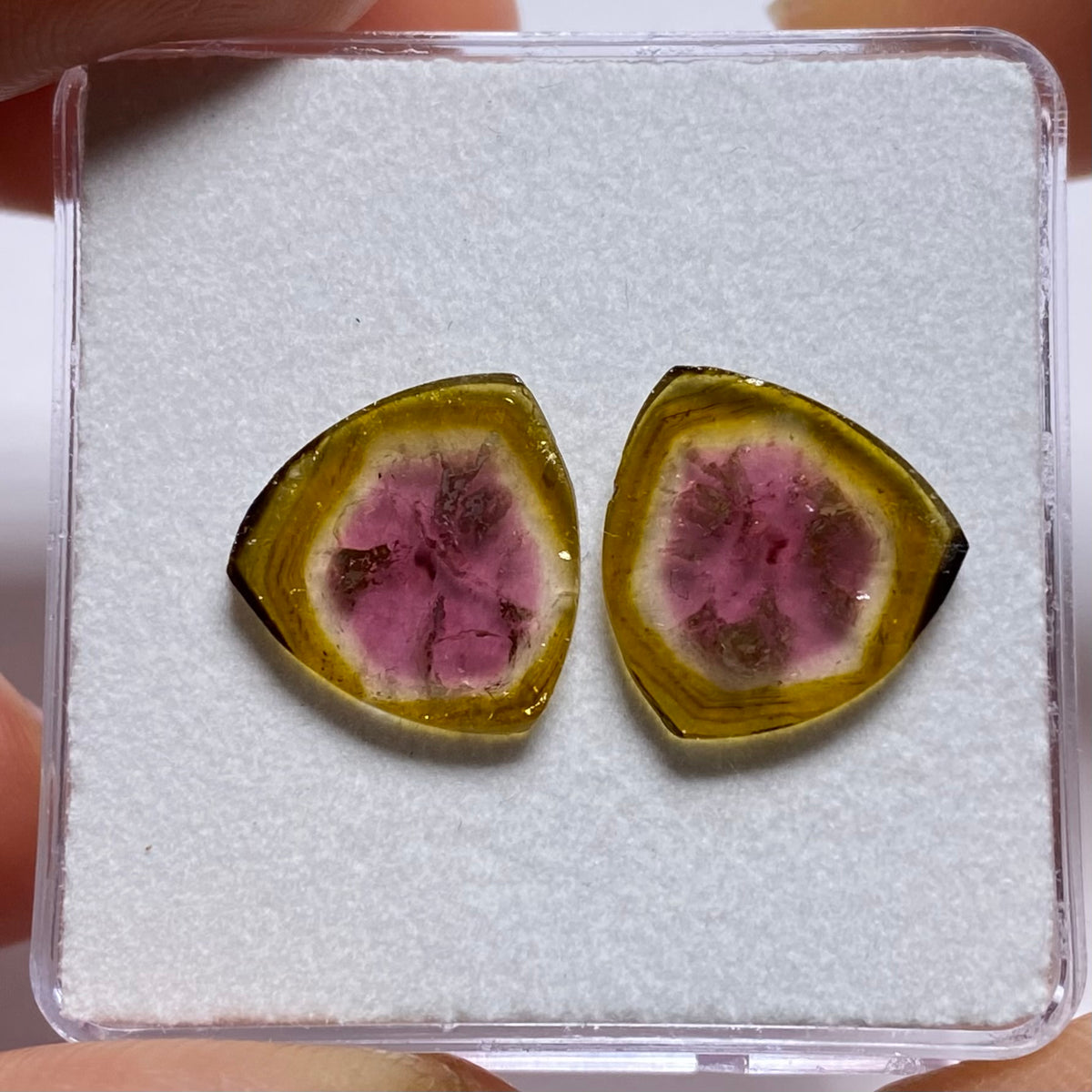 Old-Stock Watermelon Tourmaline Slices - Brazil