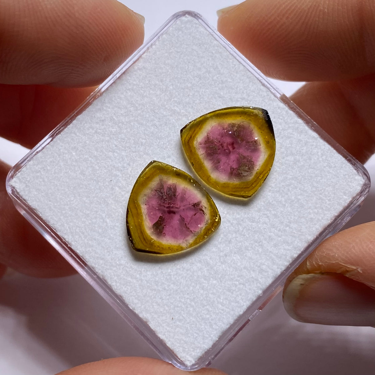 Old-Stock Watermelon Tourmaline Slices - Brazil