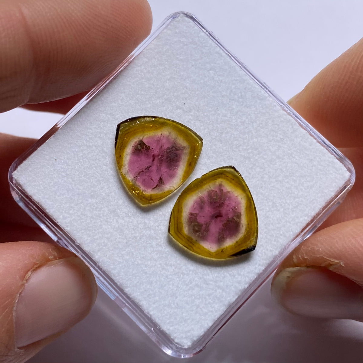 Old-Stock Watermelon Tourmaline Slices - Brazil