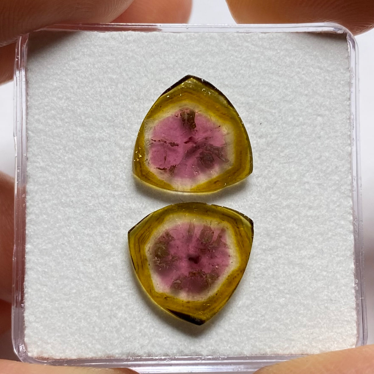 Old-Stock Watermelon Tourmaline Slices - Brazil