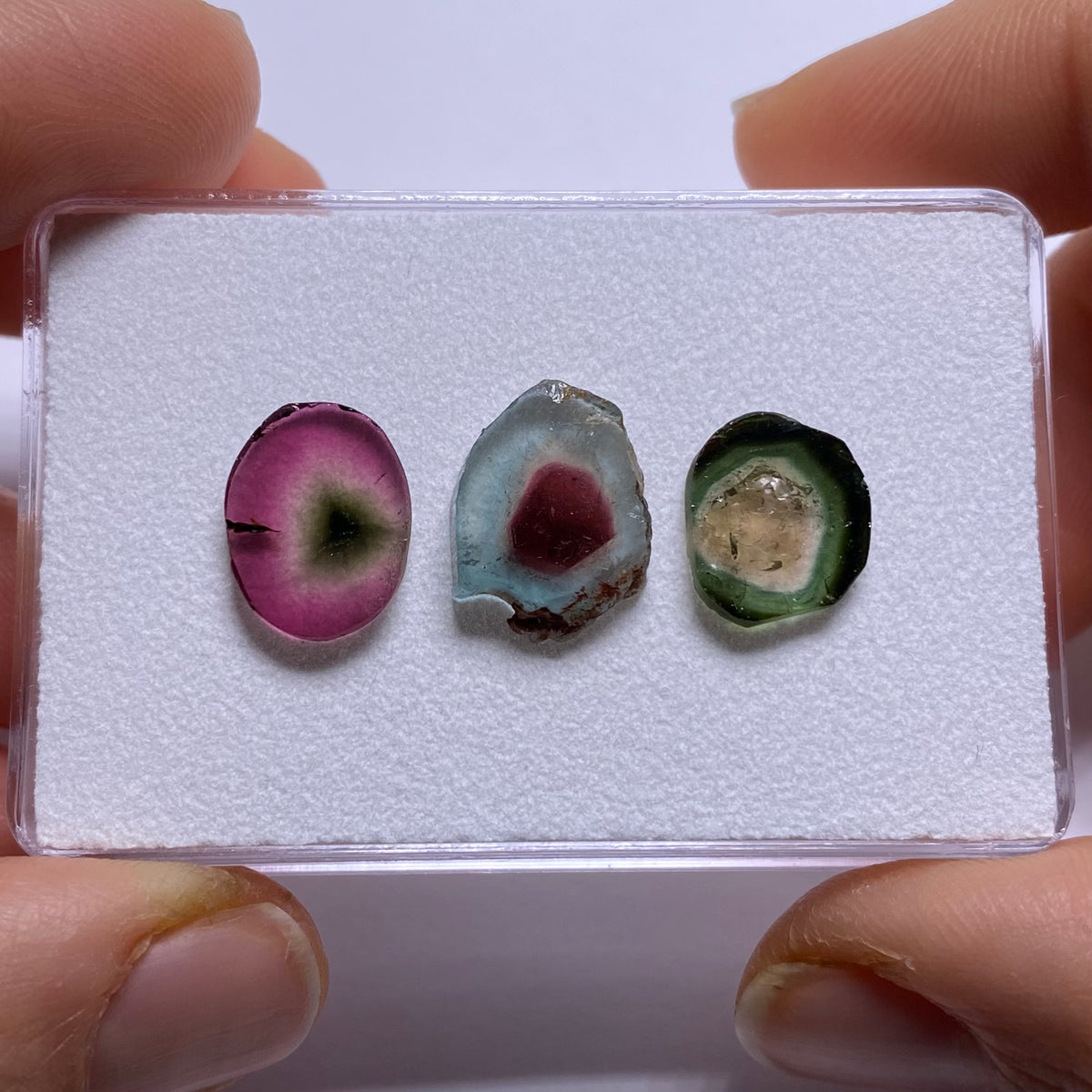 Old-Stock Watermelon Tourmaline Slices - Brazil