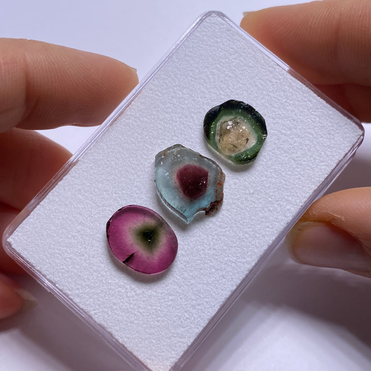 Old-Stock Watermelon Tourmaline Slices - Brazil