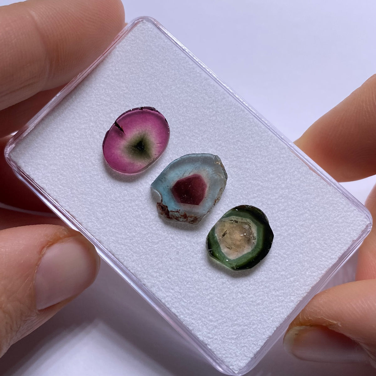 Old-Stock Watermelon Tourmaline Slices - Brazil
