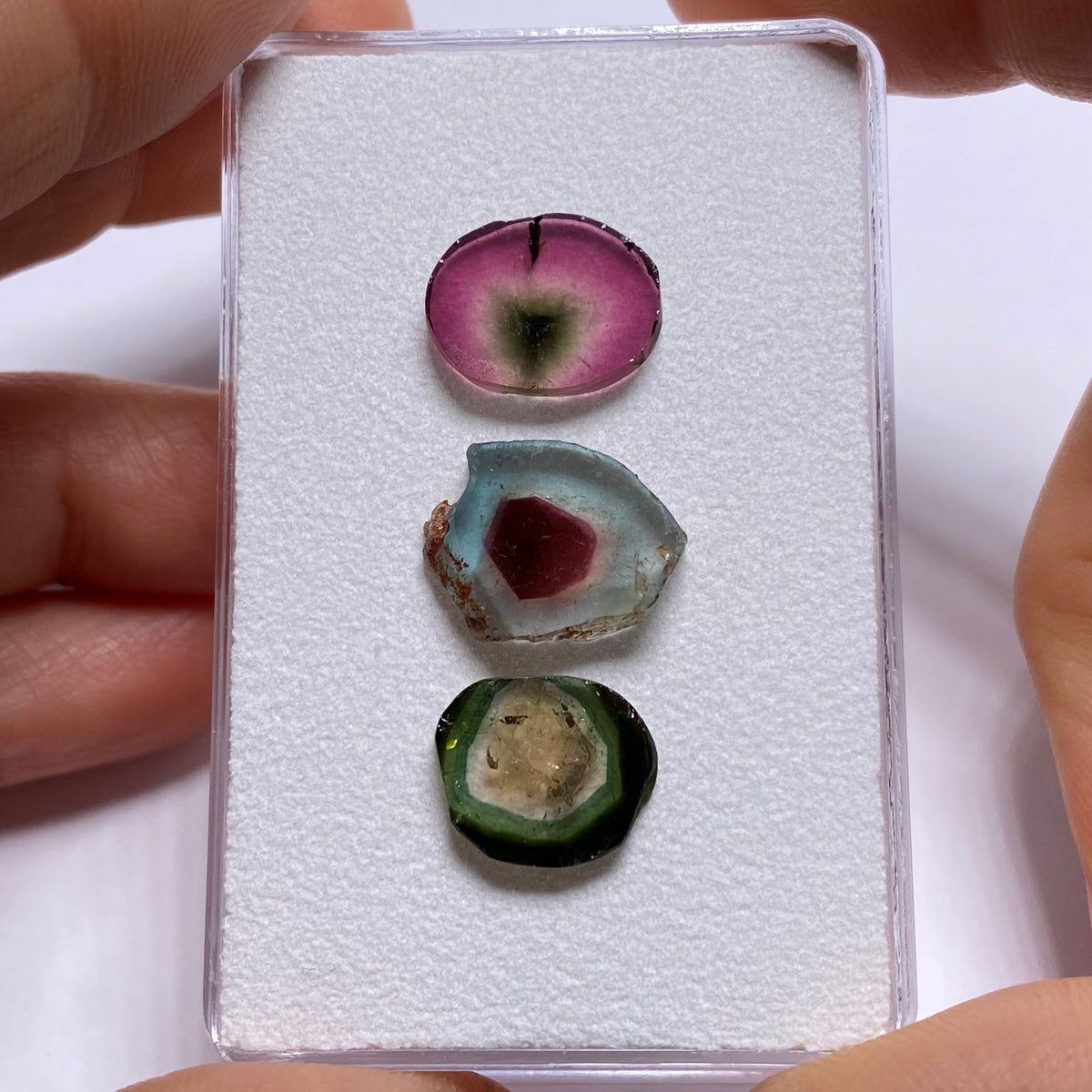 Old-Stock Watermelon Tourmaline Slices - Brazil