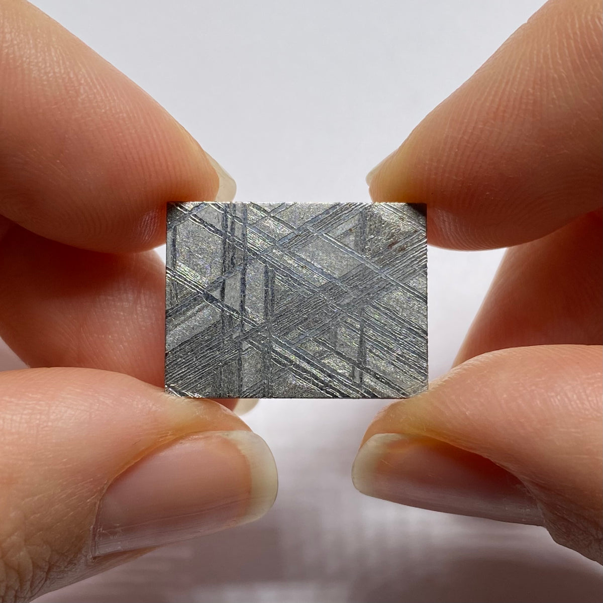 Muonionalusta Meteorite, Northen Scandinavia