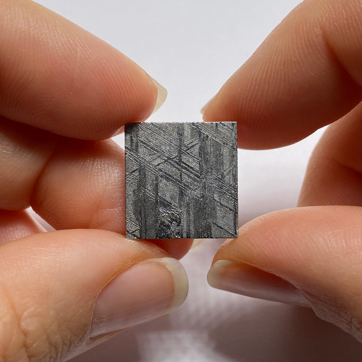 Muonionalusta Meteorite, Northen Scandinavia