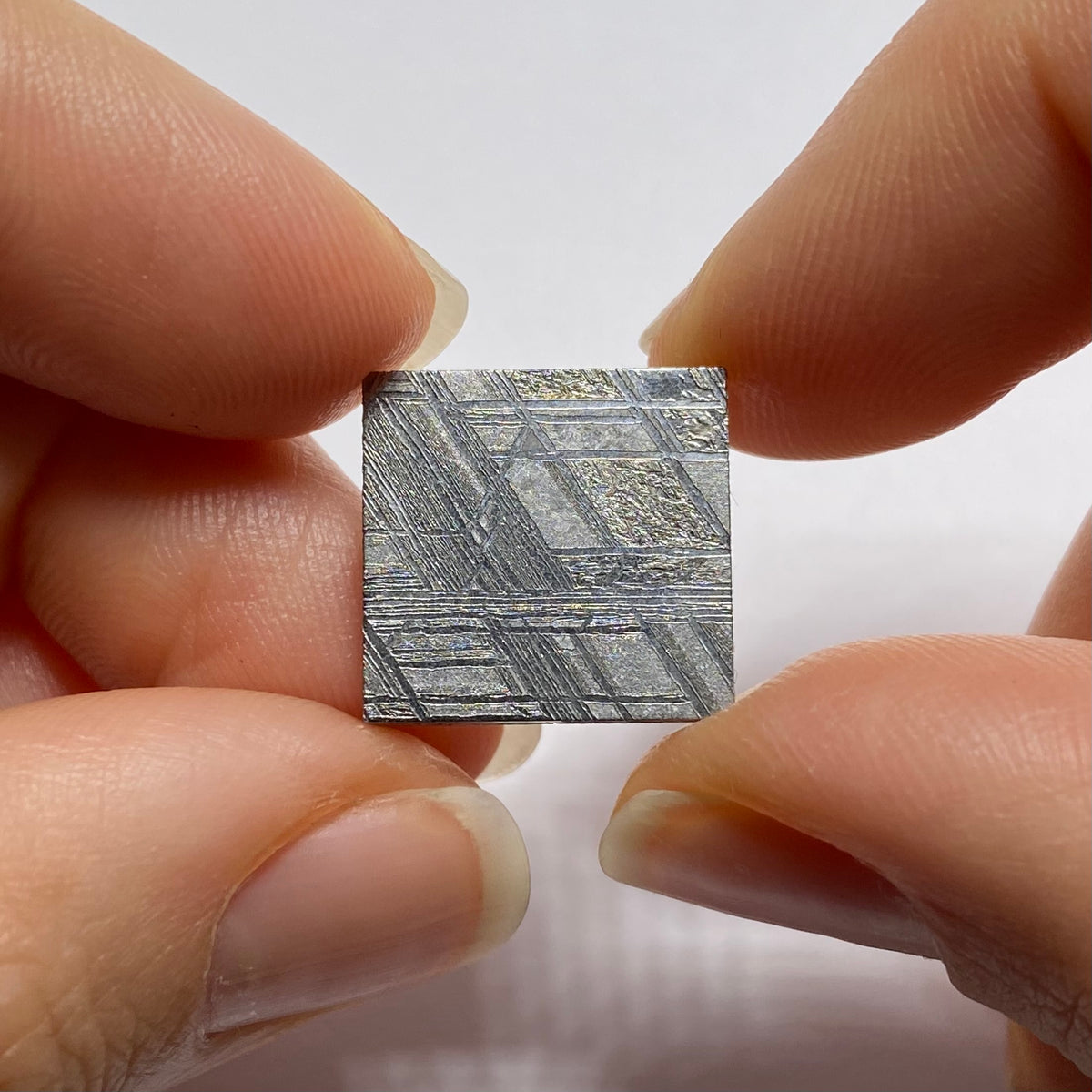 Muonionalusta Meteorite, Northen Scandinavia