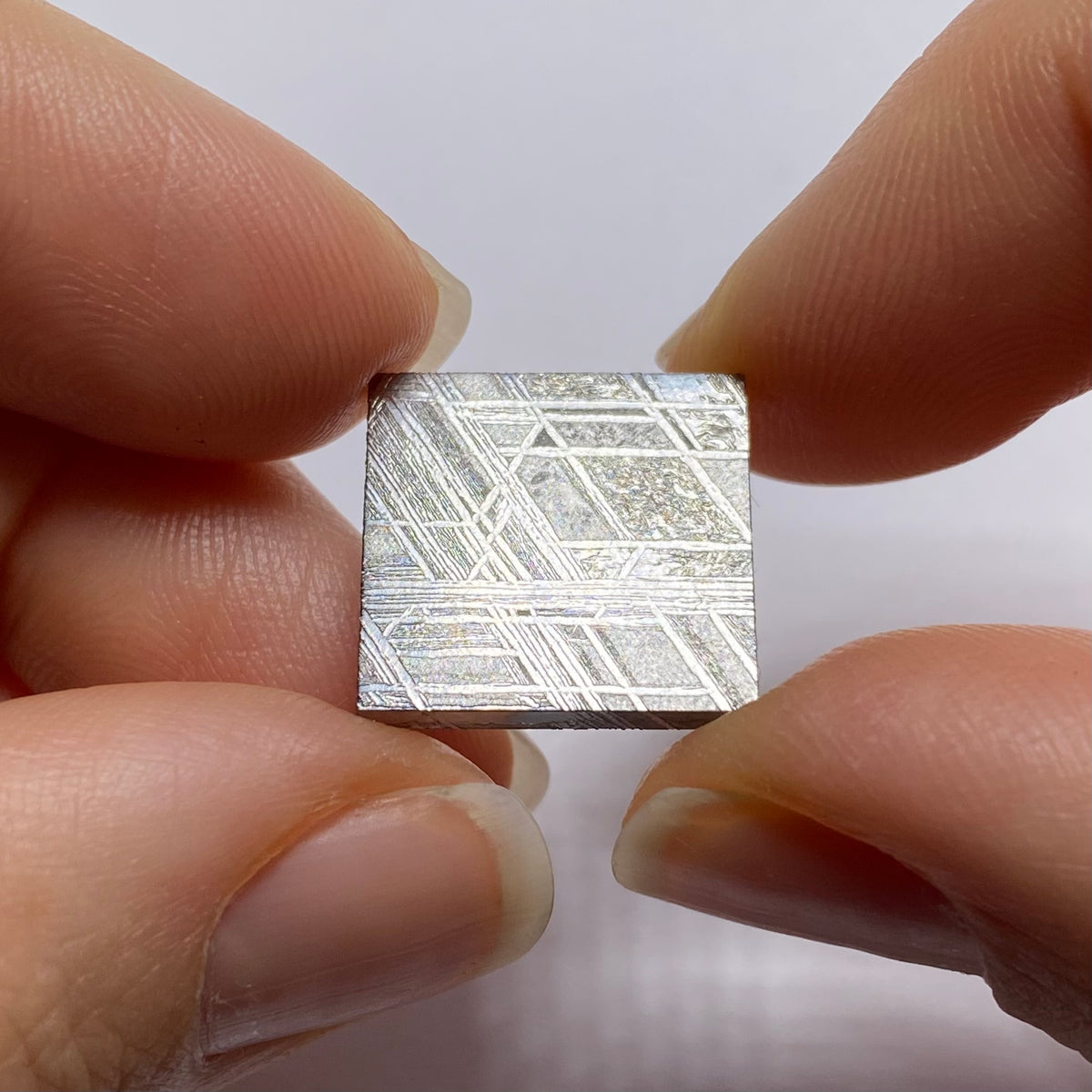 Muonionalusta Meteorite, Northen Scandinavia