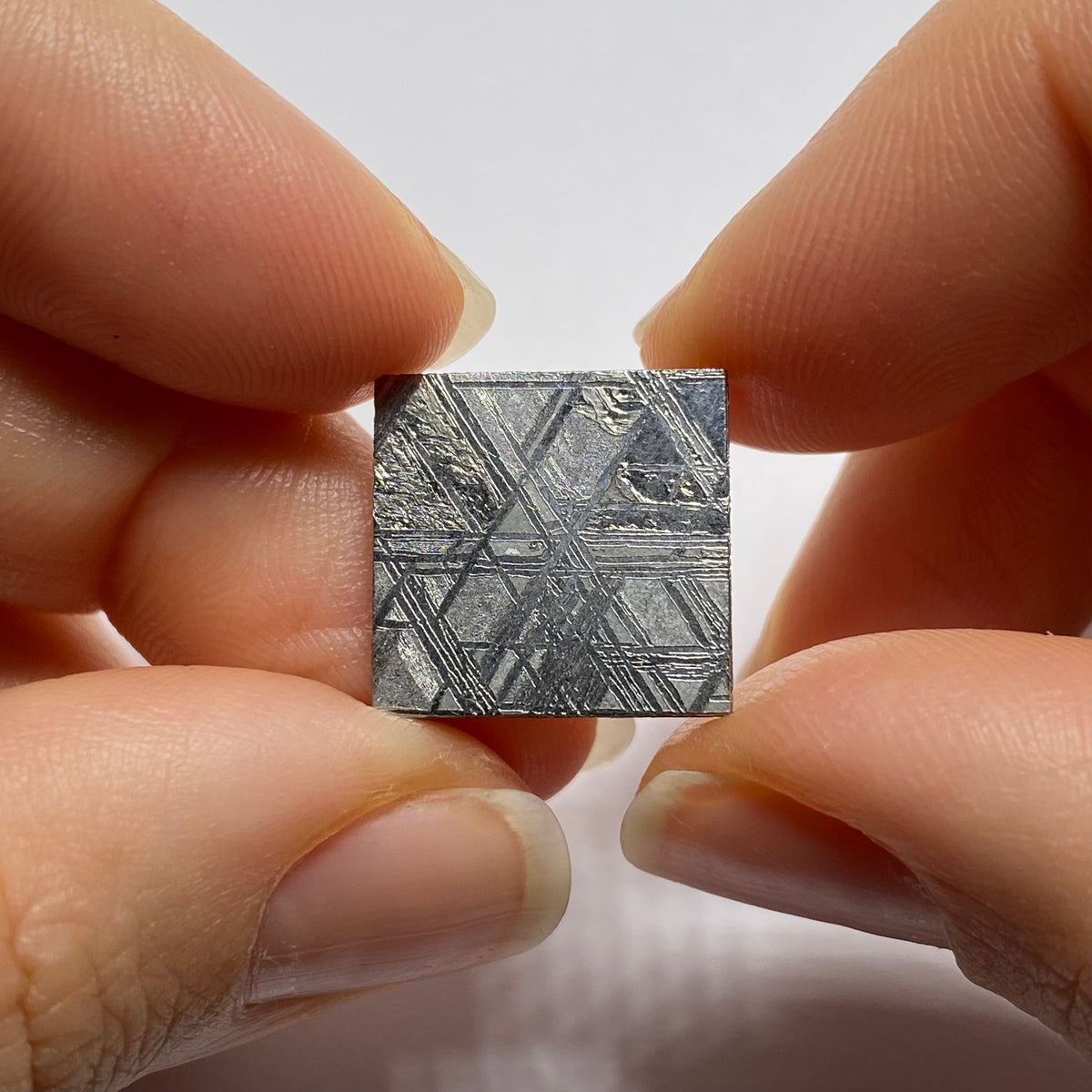 Muonionalusta Meteorite, Northen Scandinavia
