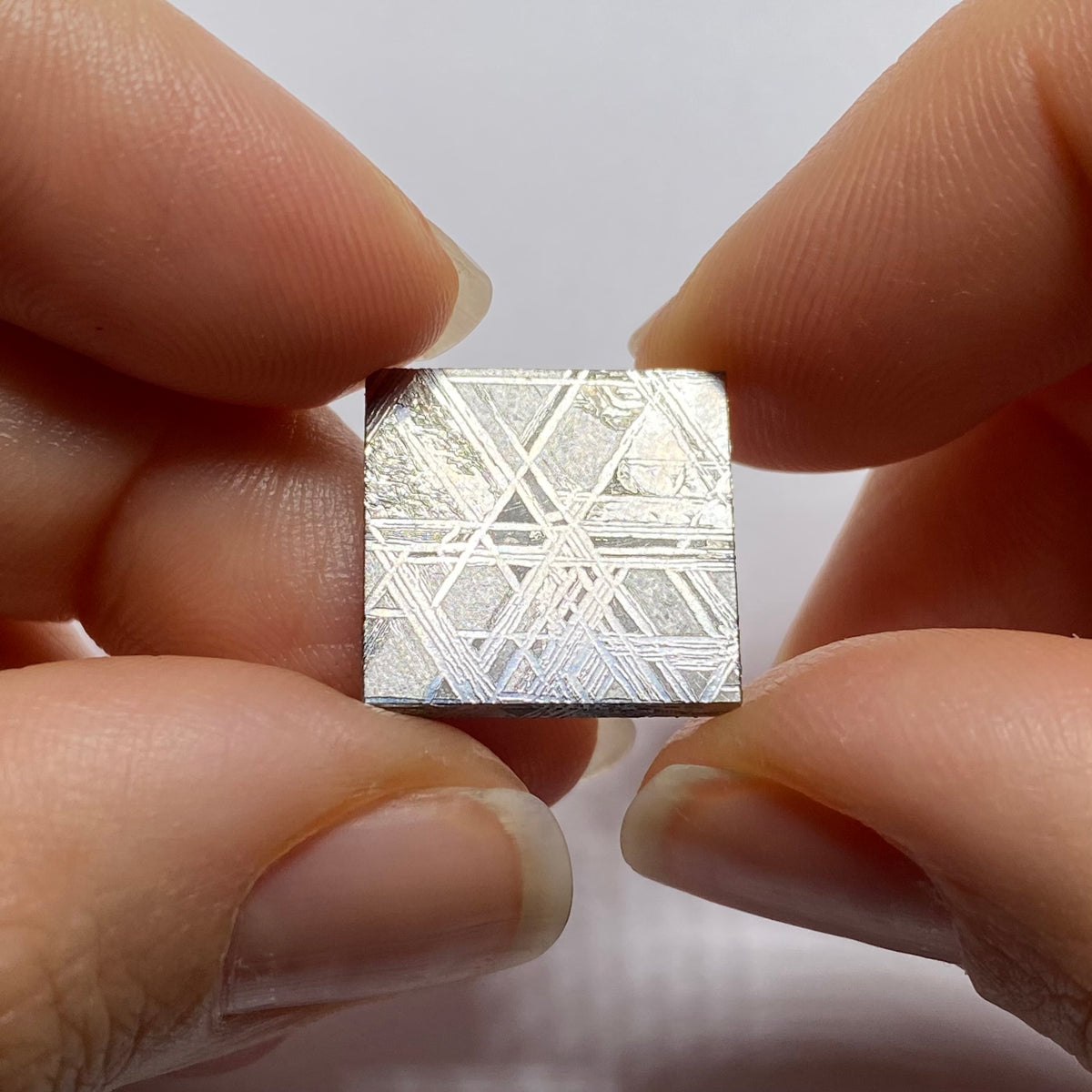Muonionalusta Meteorite, Northen Scandinavia