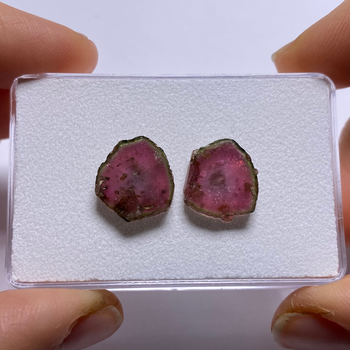 Old-Stock Watermelon Tourmaline Slices - Brazil