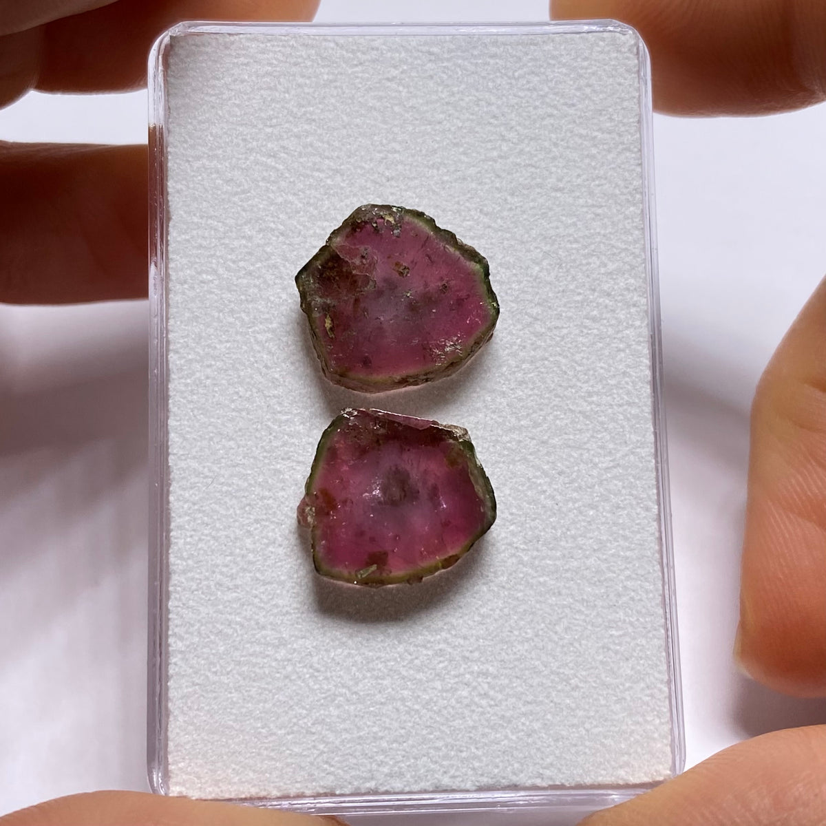 Old-Stock Watermelon Tourmaline Slices - Brazil