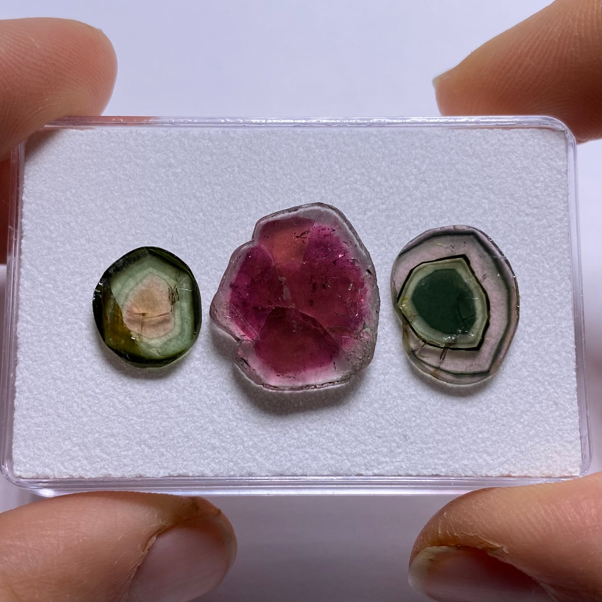 Old-Stock Tourmaline Slices - Brazil