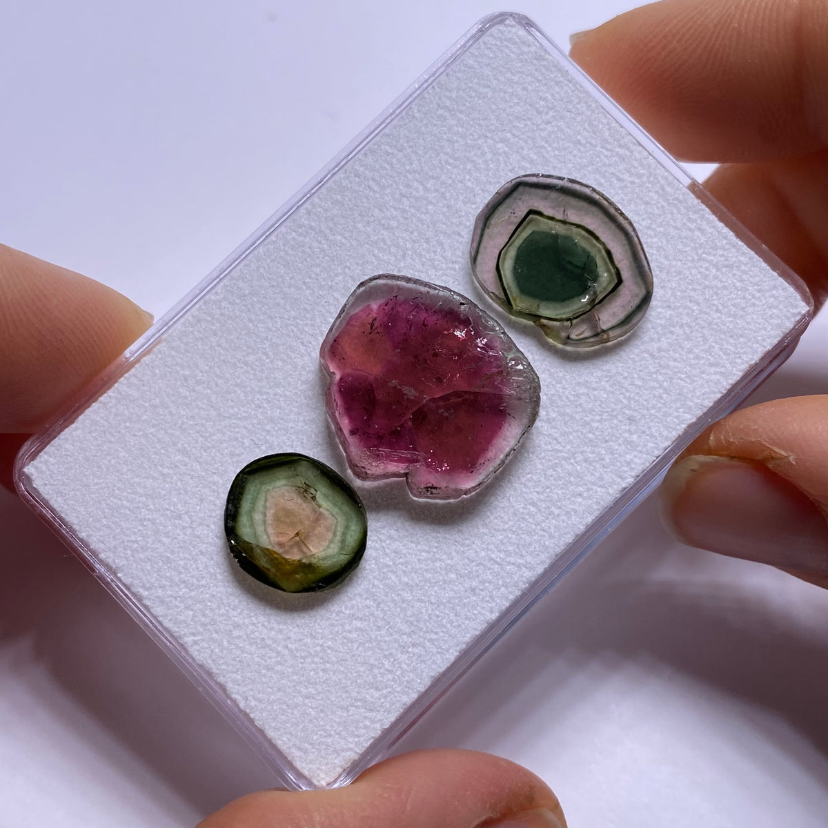 Old-Stock Tourmaline Slices - Brazil