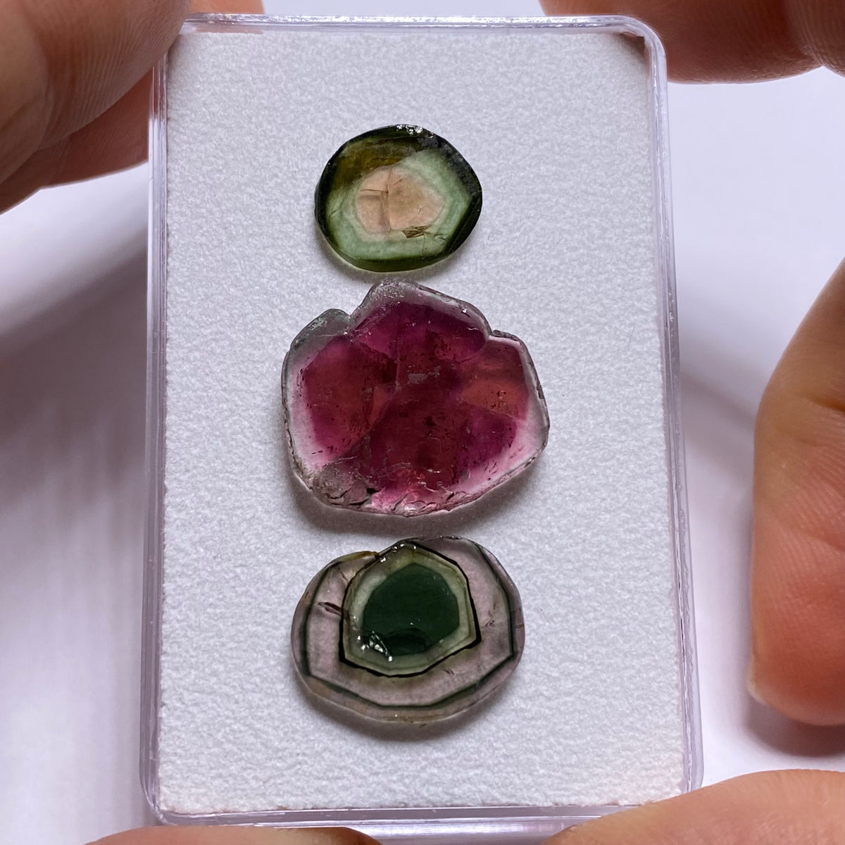 Old-Stock Tourmaline Slices - Brazil