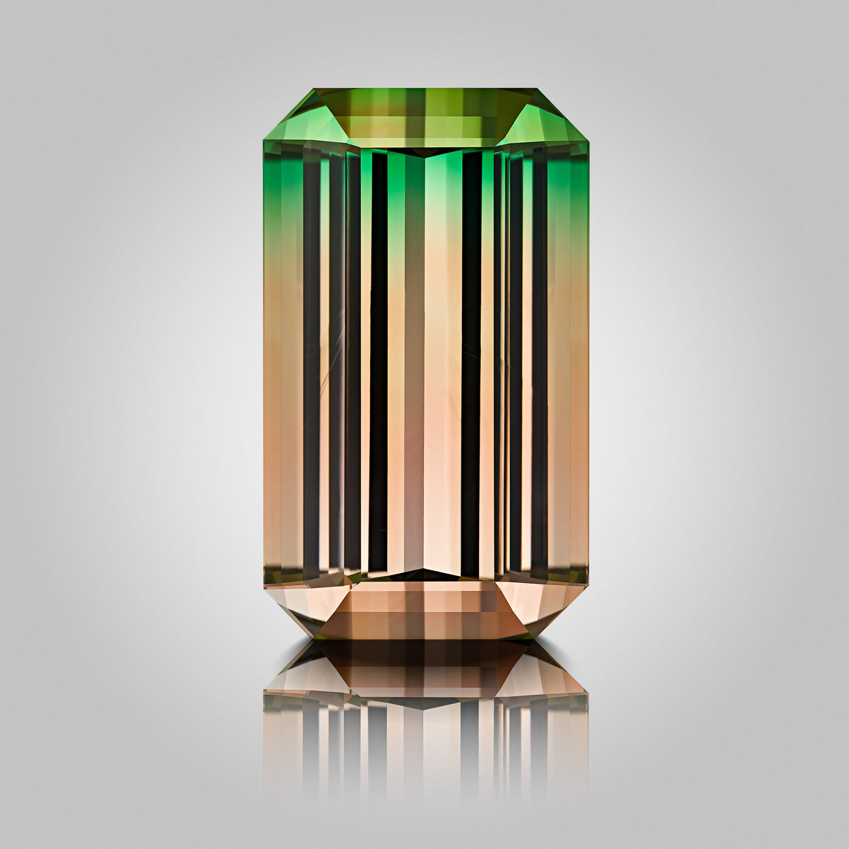 Bi-Color Tourmaline - DRC