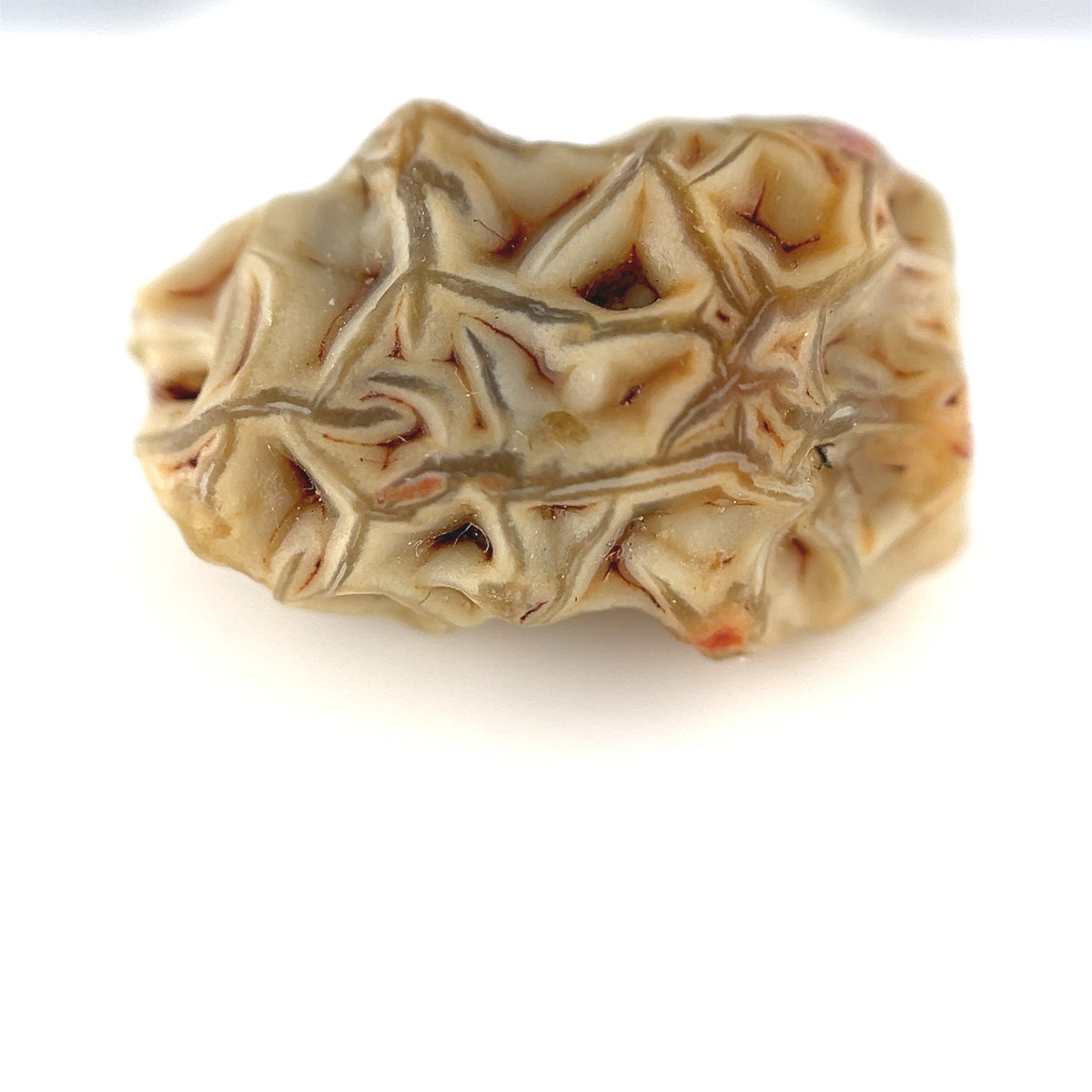 Gobi Agate - Gobi Desert