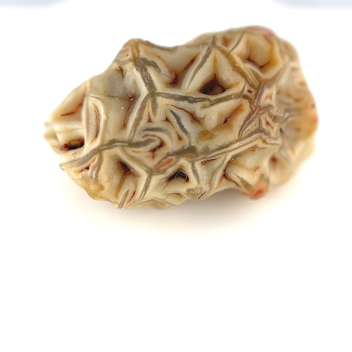 Gobi Agate - Gobi Desert