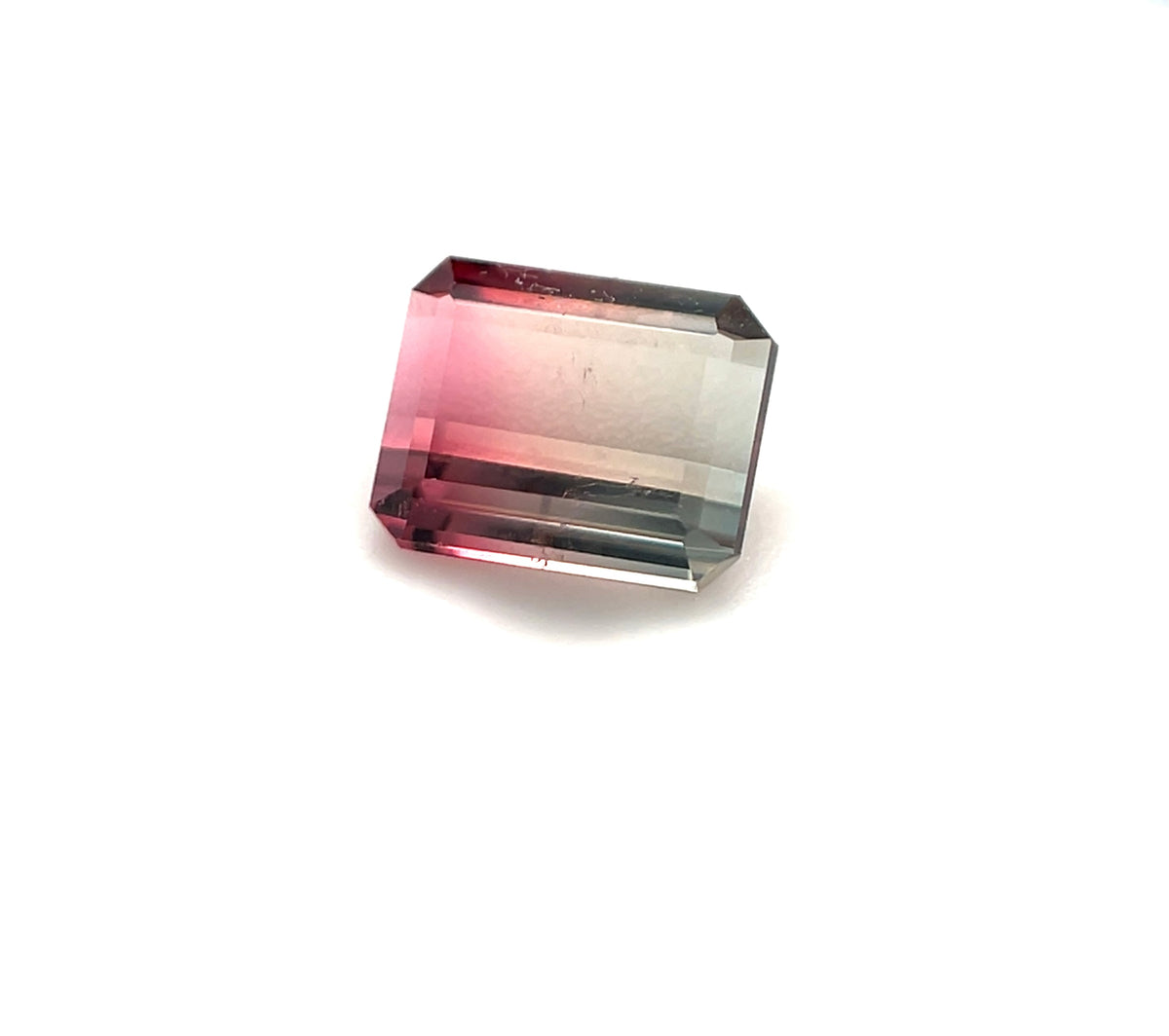 Bi-Color Tourmaline - Brazil