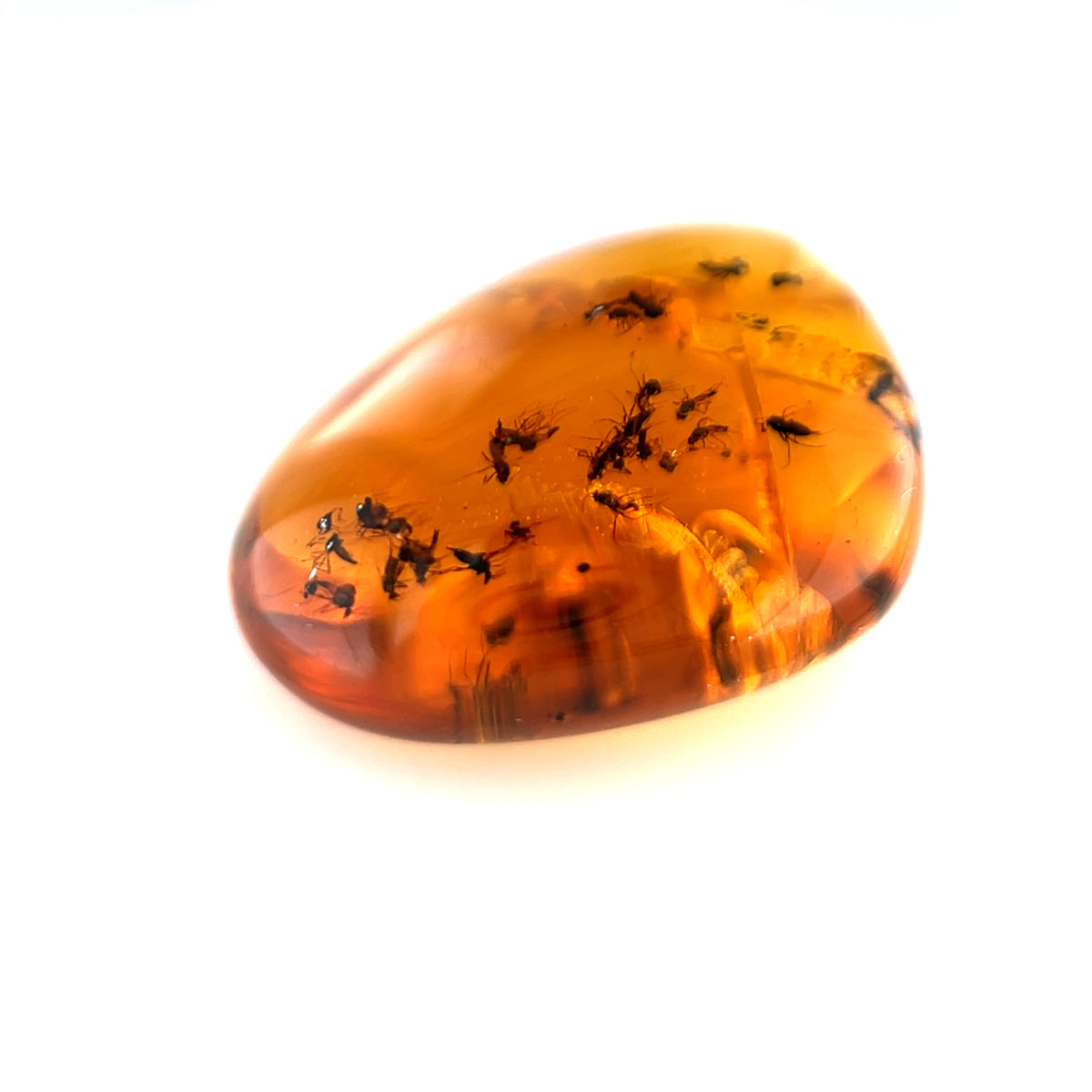 Amber with Insect Inclusions – Burma (Myanmar)