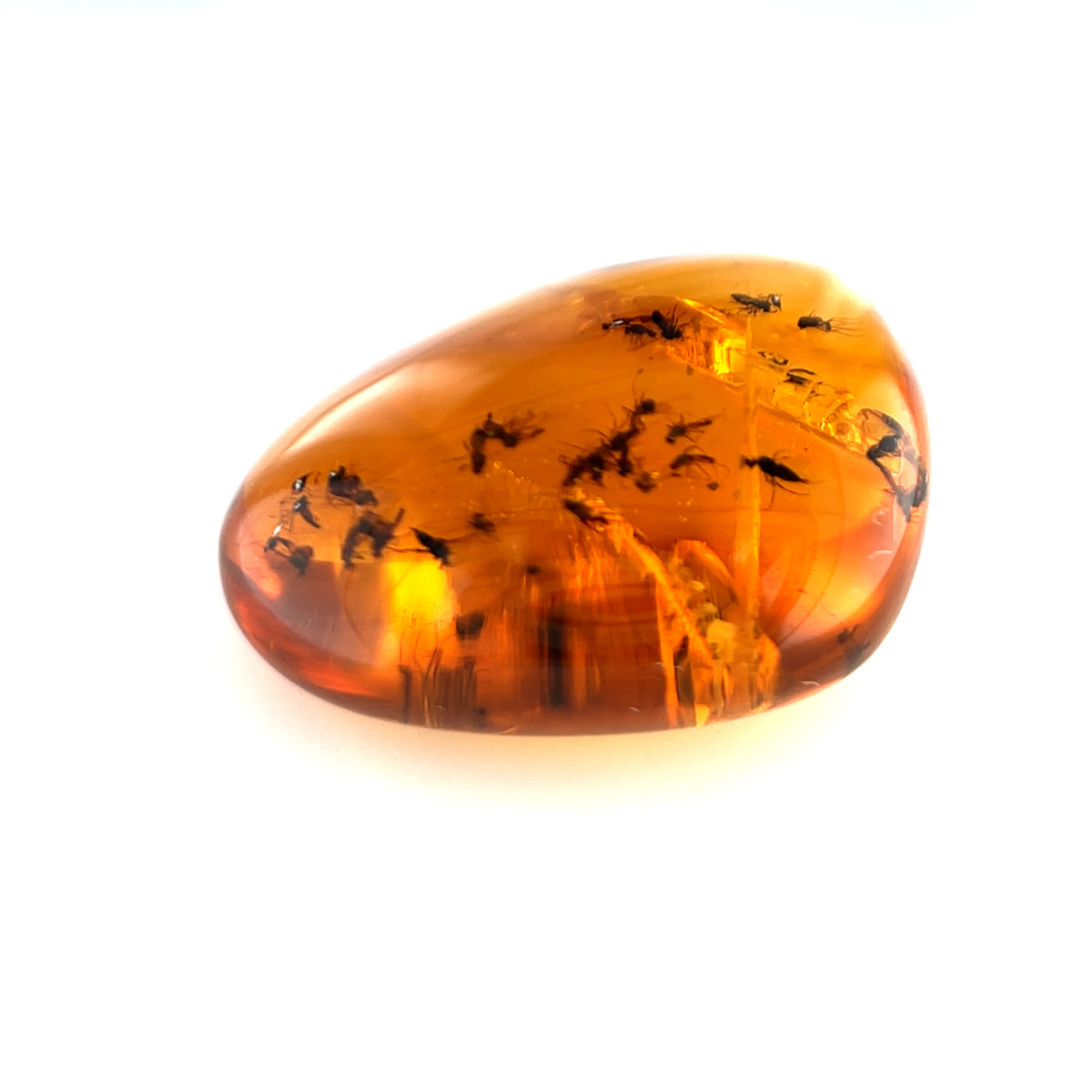 Amber with Insect Inclusions – Burma (Myanmar)