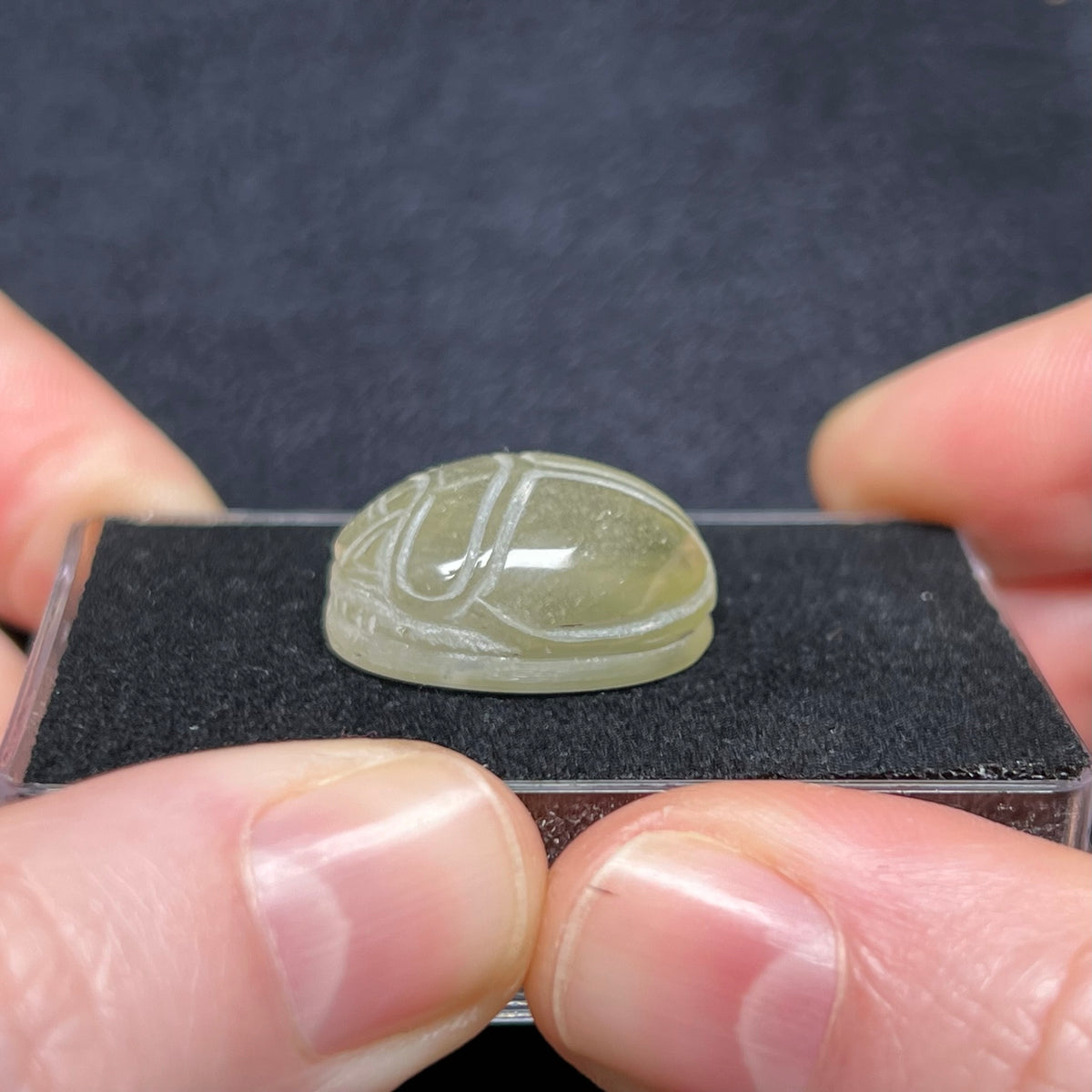 Libyan Desert Glass Scarab