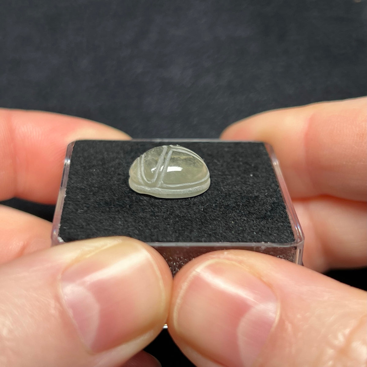 Libyan Desert Glass Scarab