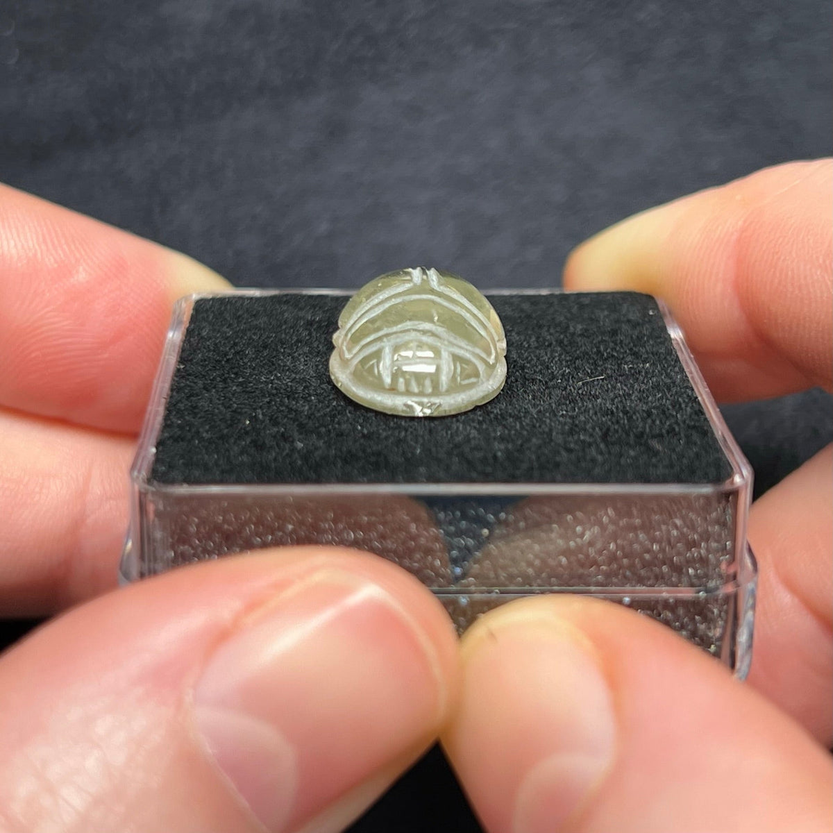 Libyan Desert Glass Scarab